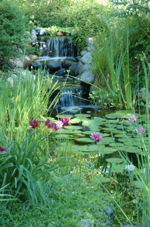 Jardins Aquadesign