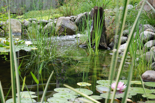 Bassin d'eau Aquadesign