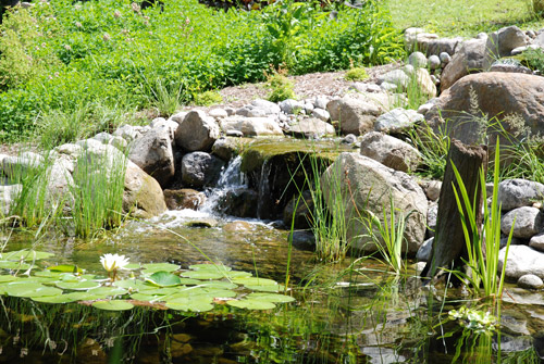 Bassin d'eau Aquadesign