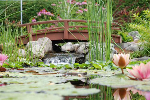 Ruisseau Aquadesign