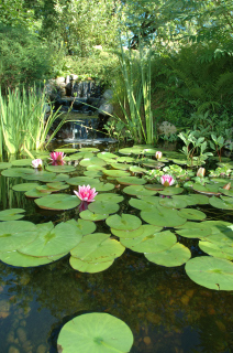 Jardins Aquadesign