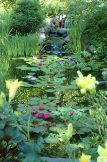 Jardins Aquadesign