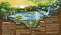 Jardins Aquadesign