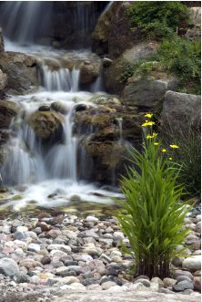 Cascade de Montagne