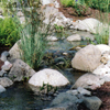 jardin d'eau