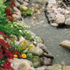 jardin d'eau