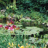 jardin d'eau