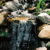 jardin d'eau