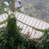 jardin d'eau