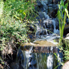 jardin d'eau