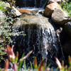 jardin d'eau