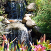 jardin d'eau