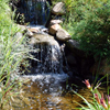 jardin d'eau