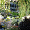jardin d'eau