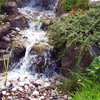 jardin d'eau