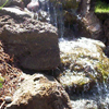 jardin d'eau