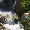 jardin d'eau
